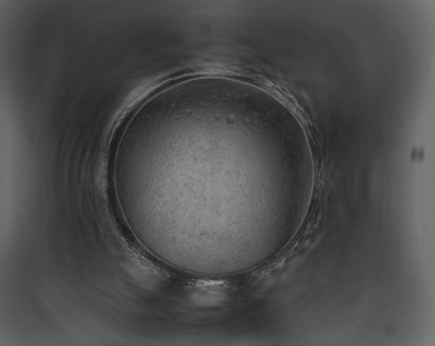 X0000090410055200707131156