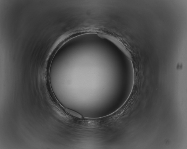 X0000090410056200707131156