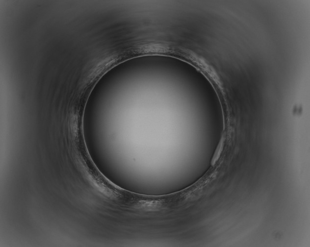 X0000090410057200707131156