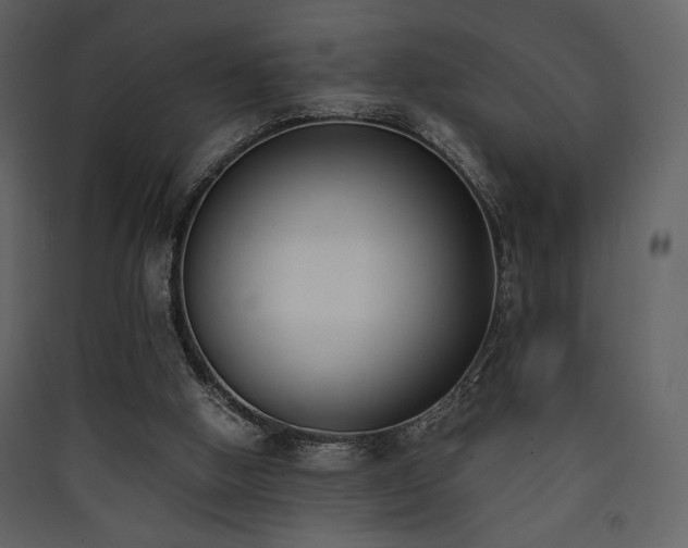 X0000090410058200707131156