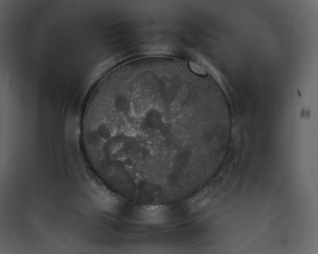 X0000090410059200707131156
