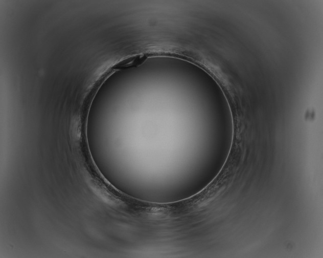 X0000090410060200707131156