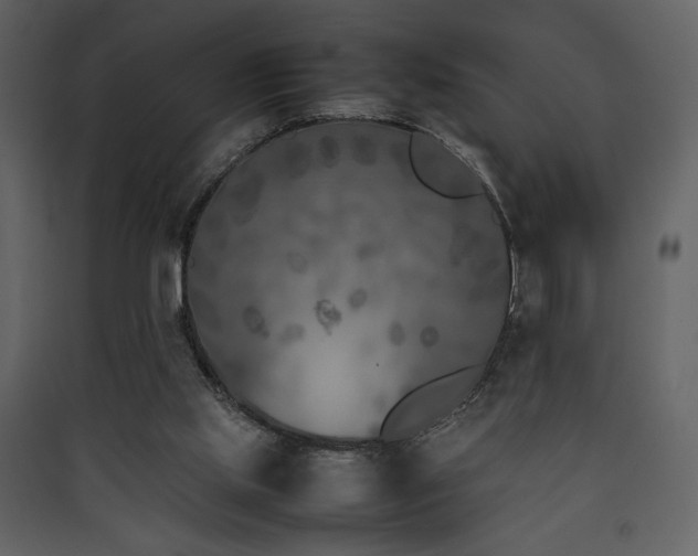 X0000090410061200707131156