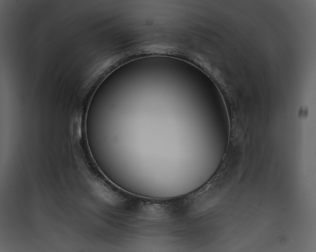 X0000090410062200707131156