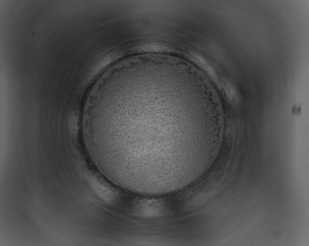 X0000090410063200707131156