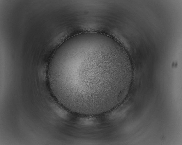 X0000090410065200707131156