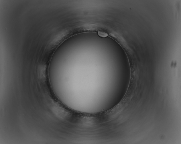 X0000090410066200707131156