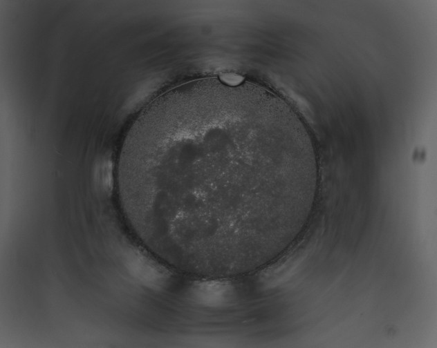 X0000090410067200707131156