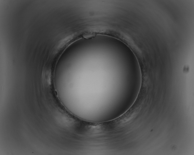 X0000090410068200707131156