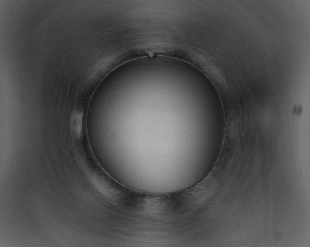 X0000090410070200707131156