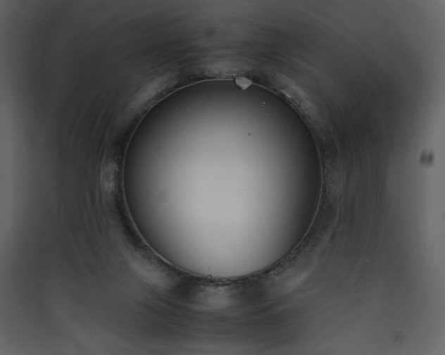 X0000090410071200707131156