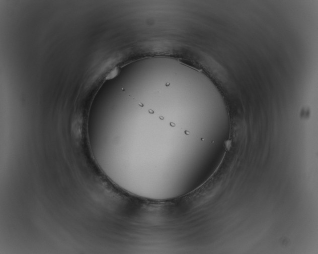 X0000090410072200707131156
