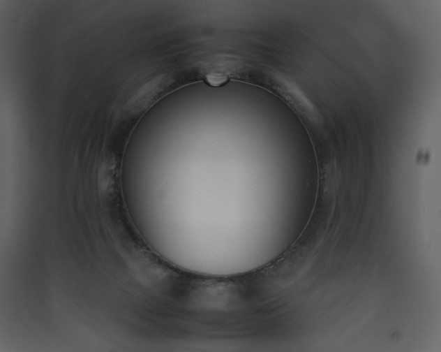 X0000090410073200707131156