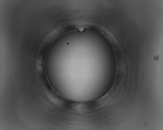 X0000090410074200707131156