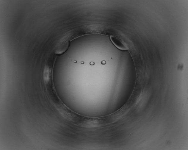 X0000090410075200707131156