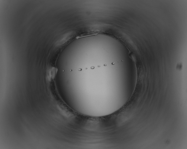 X0000090410076200707131156