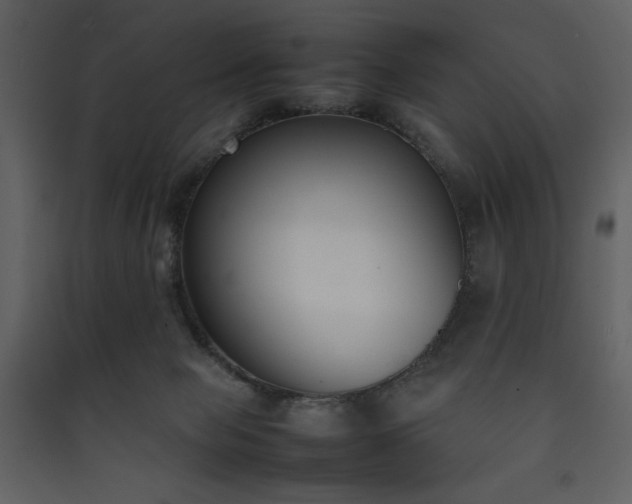 X0000090410077200707131156
