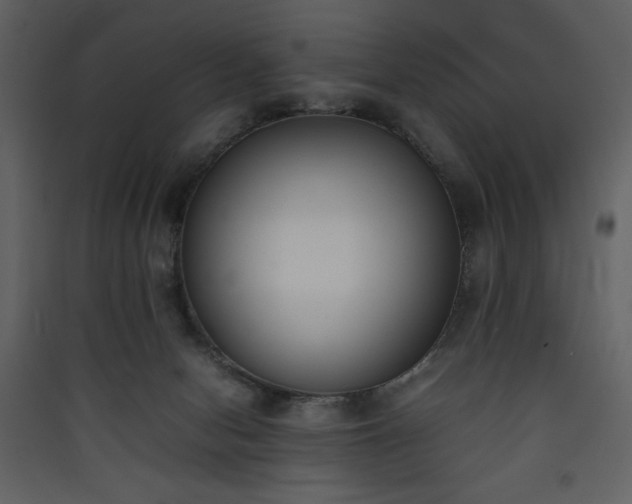 X0000090410078200707131156