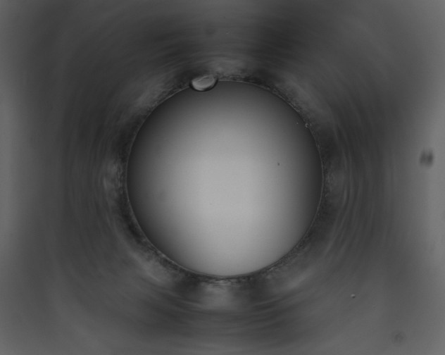X0000090410079200707131156
