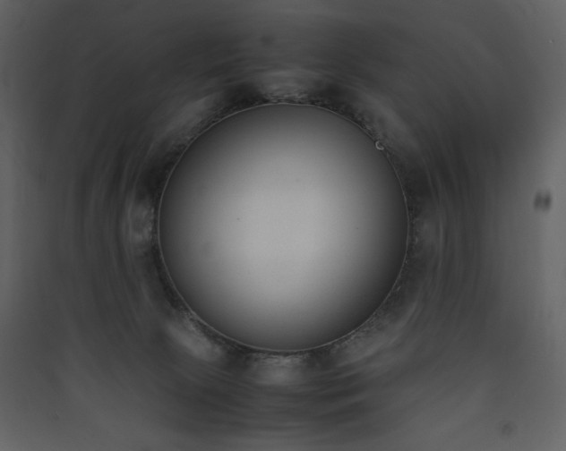 X0000090410081200707131156