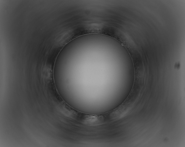 X0000090410083200707131156