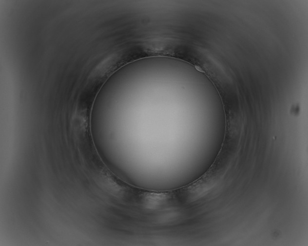 X0000090410085200707131156
