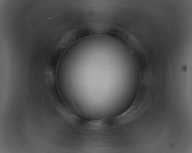 X0000090410086200707131156