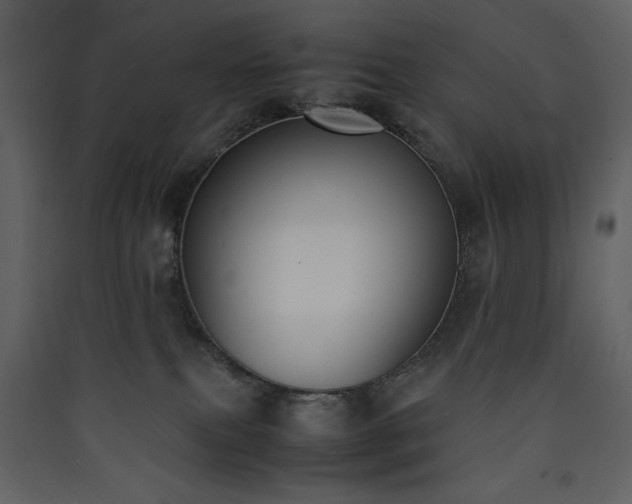 X0000090410087200707131156