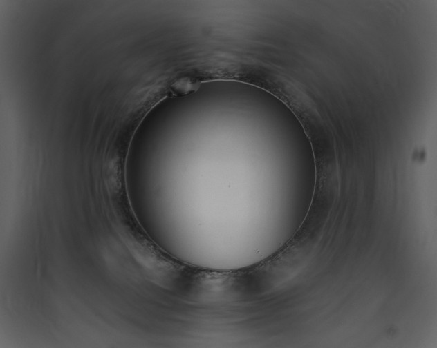 X0000090410088200707131156