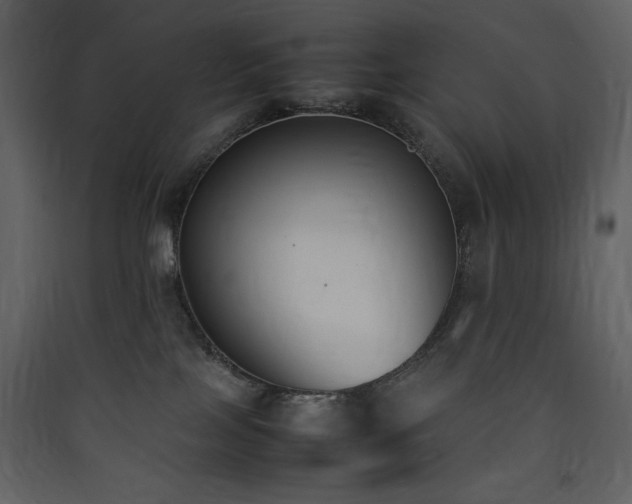 X0000090410089200707131156