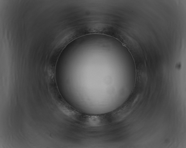 X0000090410091200707131157