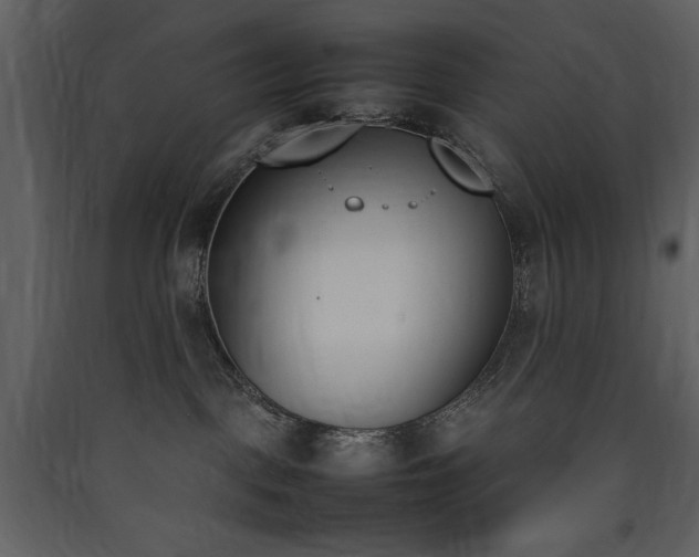 X0000090410093200707131157