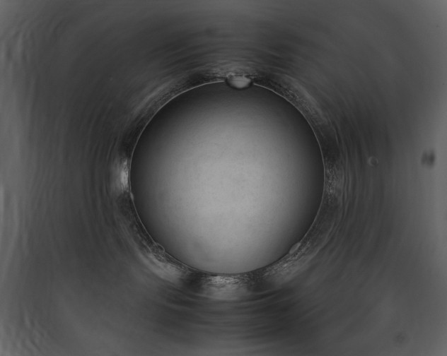 X0000090410095200707131157