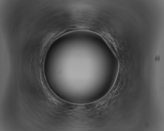 X0000090410097200707131156