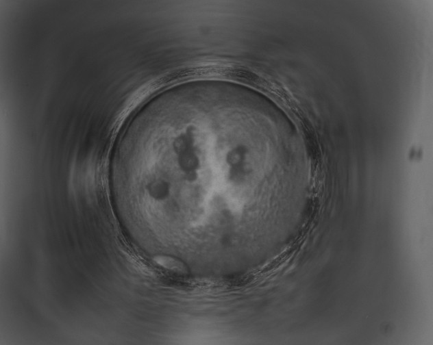 X0000090410099200707131156