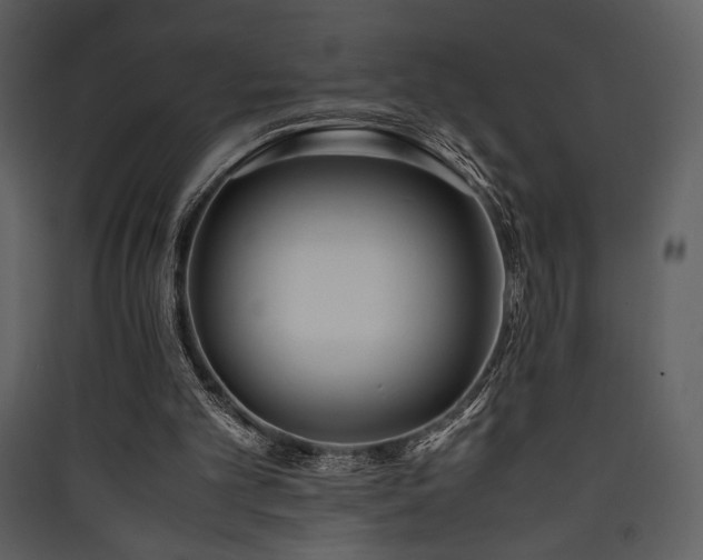 X0000090410101200707131156