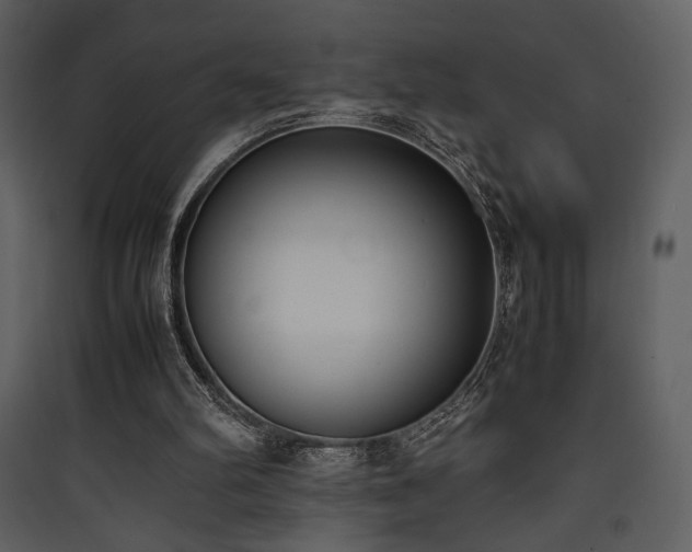 X0000090410102200707131156