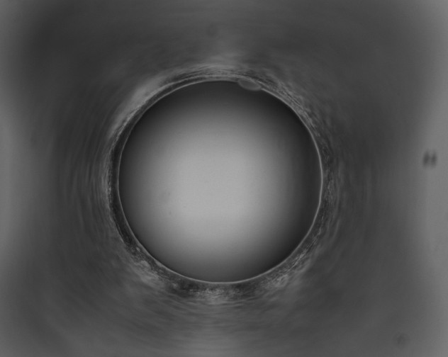 X0000090410103200707131156
