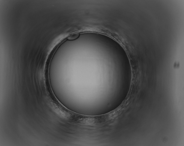 X0000090410104200707131156