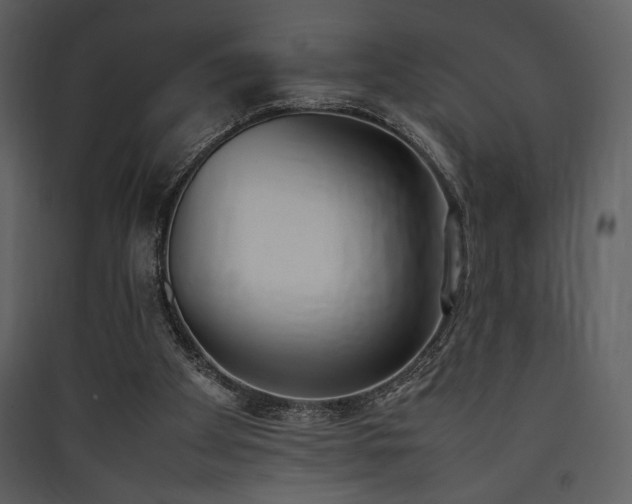 X0000090410105200707131156