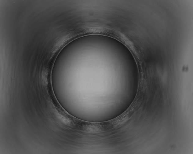 X0000090410106200707131156