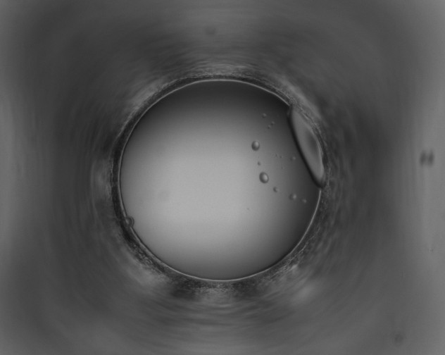 X0000090410107200707131156