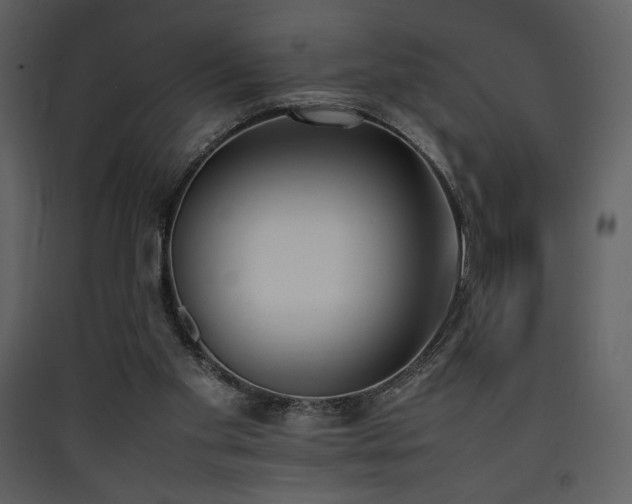 X0000090410109200707131156