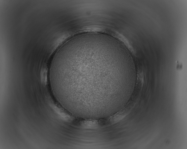 X0000090410110200707131156
