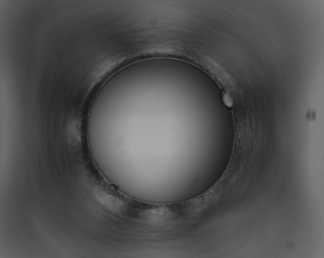 X0000090410112200707131156