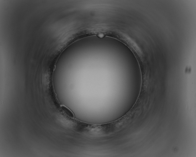 X0000090410113200707131156