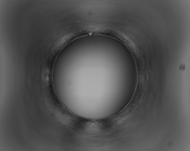 X0000090410115200707131156