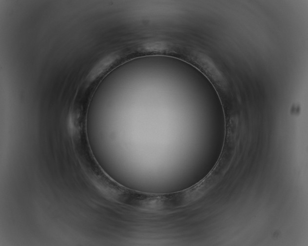 X0000090410116200707131156