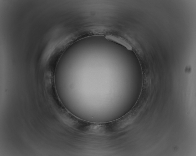 X0000090410117200707131156