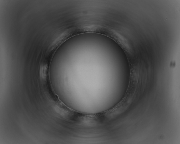 X0000090410118200707131156